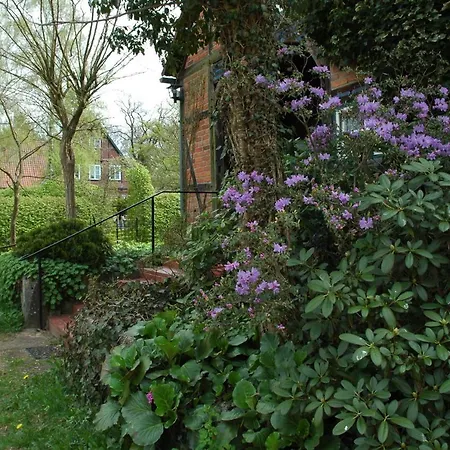 Im Heidjerhaus Apartament Suderburg